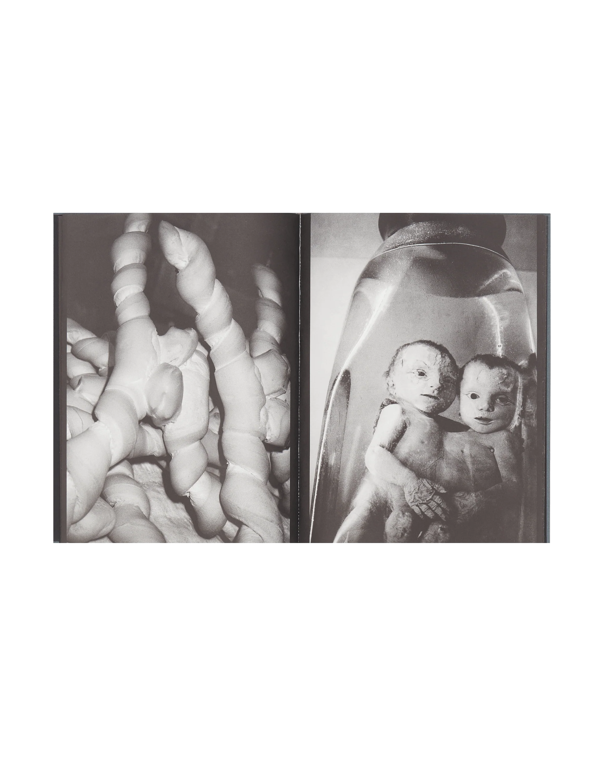 To Belong Book Multicolor - Image 3