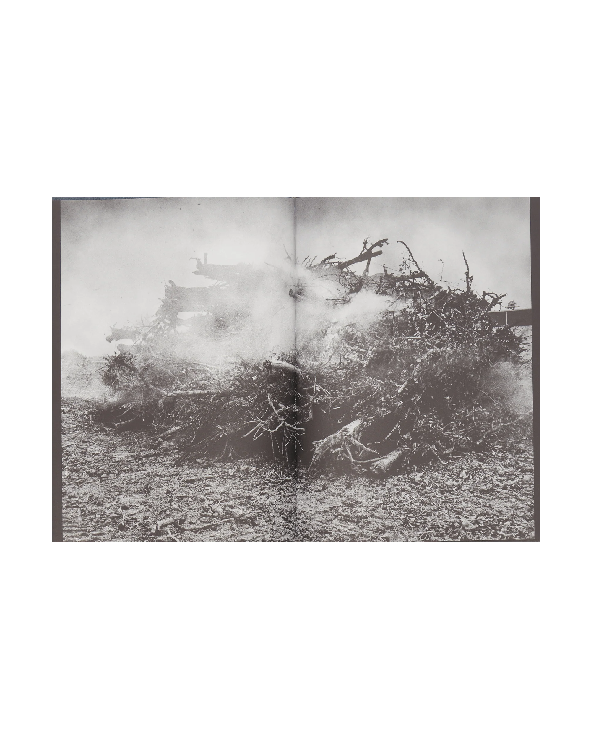 To Belong Book Multicolor - Image 4