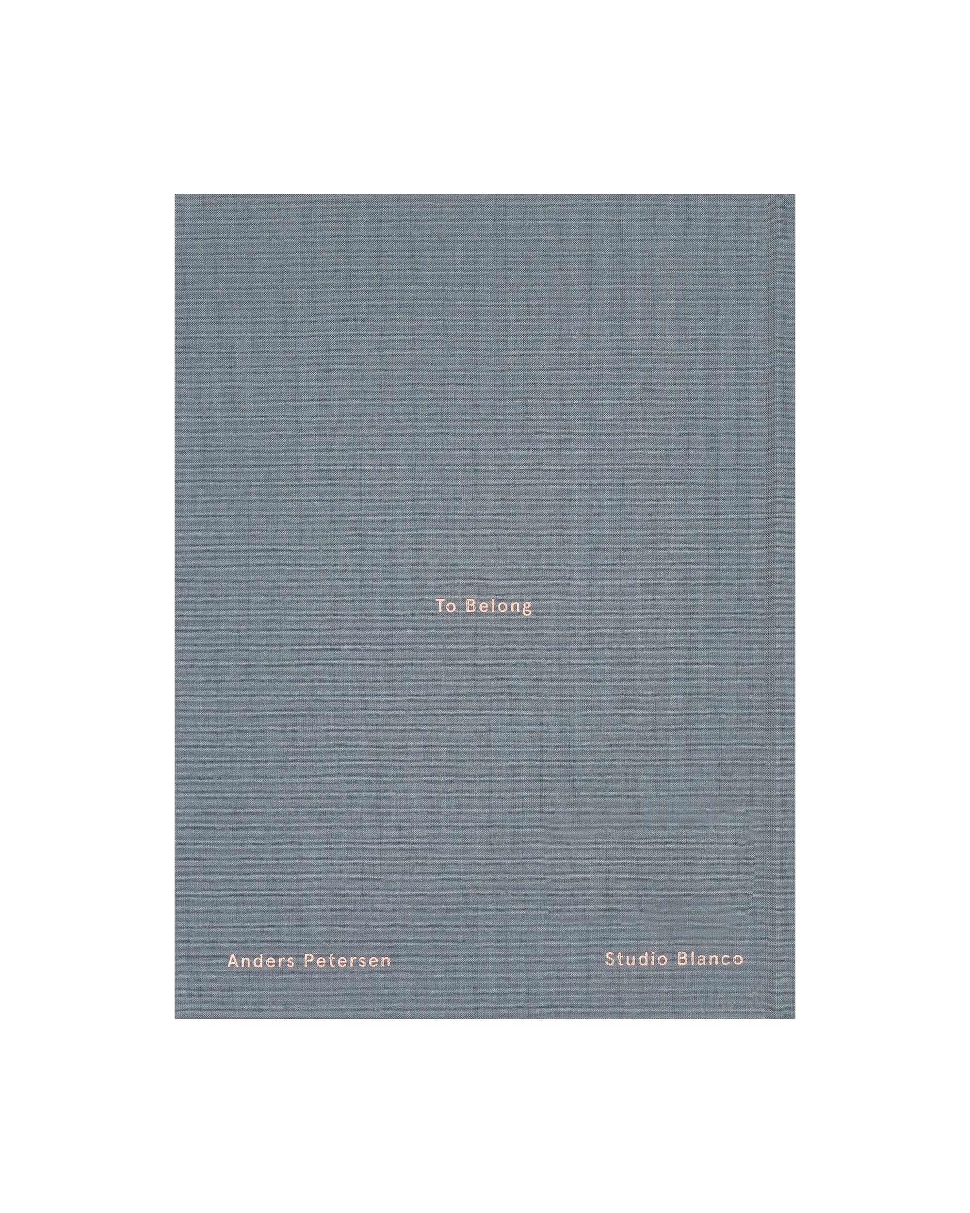 To Belong Book Multicolor - Image 5