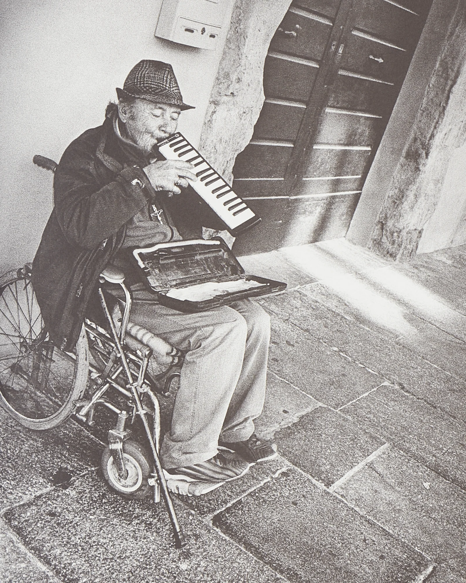 To Belong Book Multicolor - Image 7